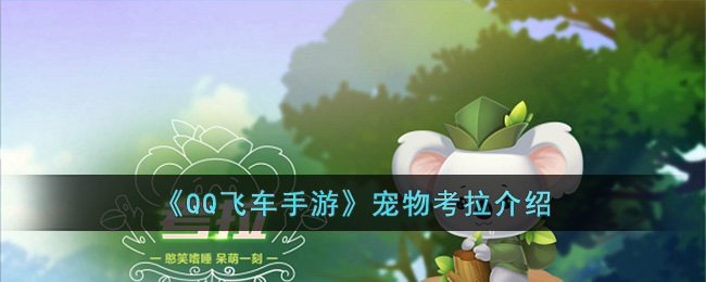 ��QQ�ɳ����Ρ����￼������