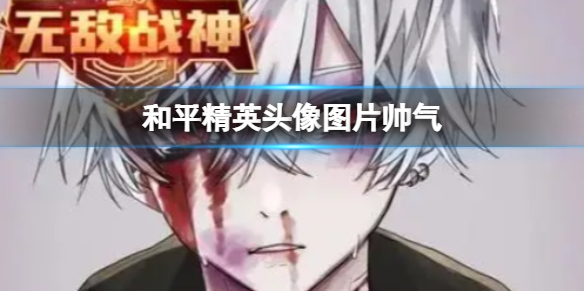 ��ƽ��Ӣͷ��ͼƬ˧��