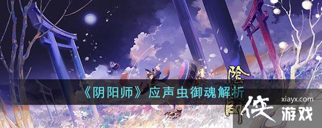 ������ʦ��Ӧ�����������