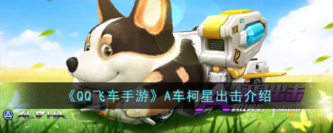 ��QQ�ɳ����Ρ�A�����ǳ�������