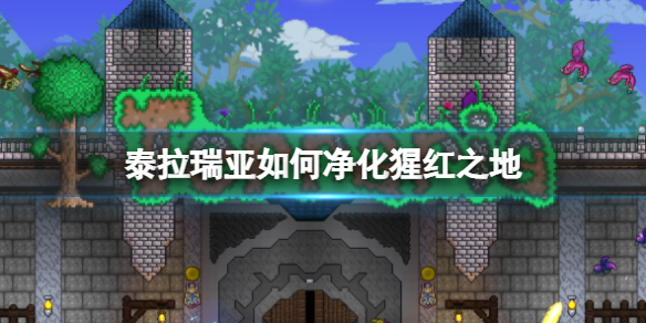 ̩��������ξ����ɺ�֮��