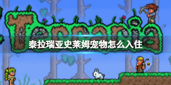 ̩������ʷ��ķ������ô��ס