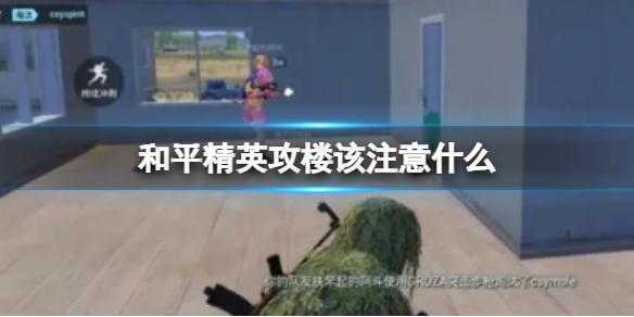 ��ƽ��Ӣ��¥��ע��ʲô