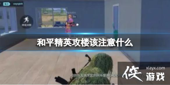 ��ƽ��Ӣ��¥��ע��ʲô