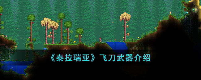 ��̩�����ǡ��ɵ���������