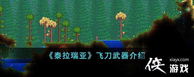 ��̩�����ǡ��ɵ���������