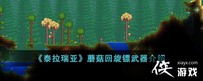 ��̩�����ǡ�Ģ����������������