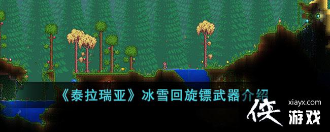 ��̩�����ǡ���ѩ��������������