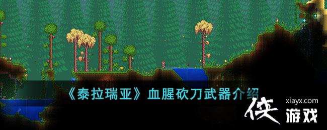 ��̩�����ǡ�Ѫ�ȿ�����������