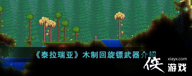 ��̩�����ǡ�ľ�ƻ�������������