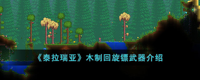 ��̩�����ǡ�ľ�ƻ�������������