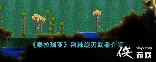 ��̩�����ǡ�����������������