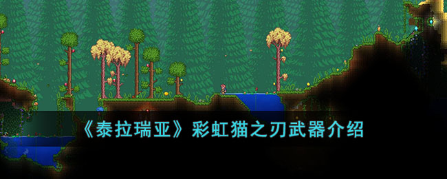 ��̩�����ǡ��ʺ�è֮����������