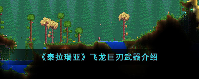 ��̩�����ǡ�����������������