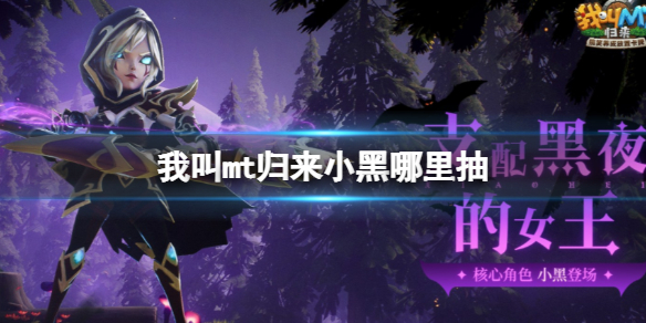 �ҽ�mt����С�������