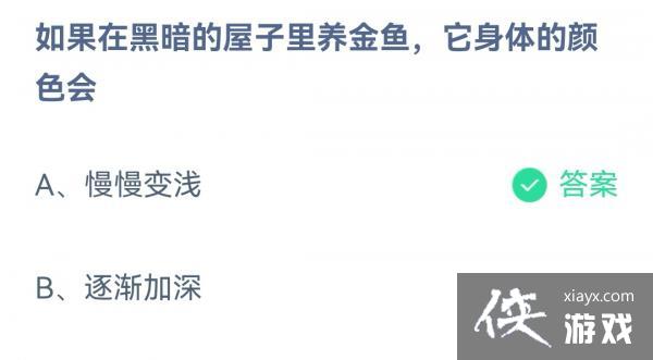 ��֧������2022����ׯ԰12��10�մ�����