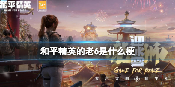 ��ƽ��Ӣ����6��ʲô��