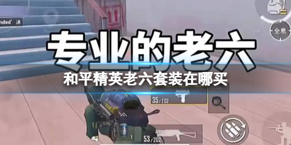 ��ƽ��Ӣ������װ������