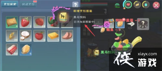 ������ħ�����������������