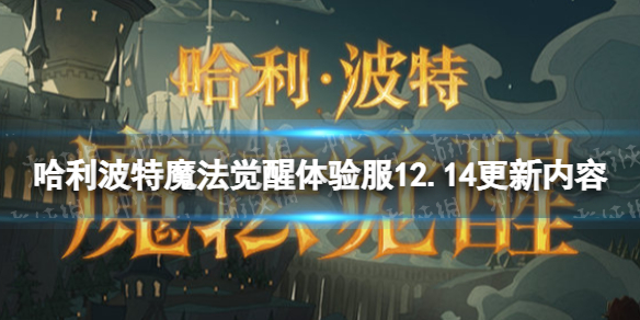 ��������ħ�����������12.14��������