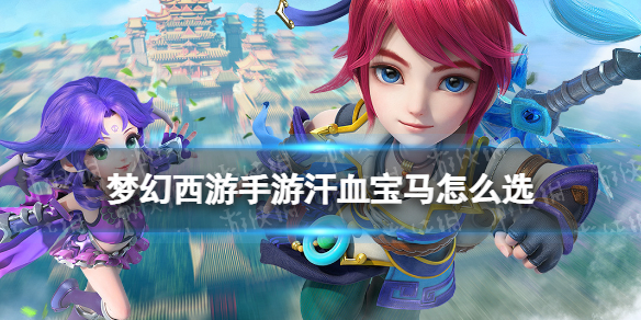 �λ��������κ�Ѫ������ôѡ