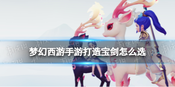 �λ��������δ��챦����ôѡ