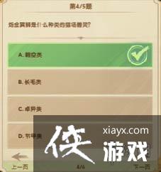 ����Զ��ʫ�羺��ھ����