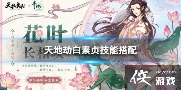 ��ؽٰ����꼼�ܴ���