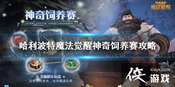 ��������ħ��������������������