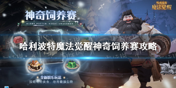 ��������ħ��������������������