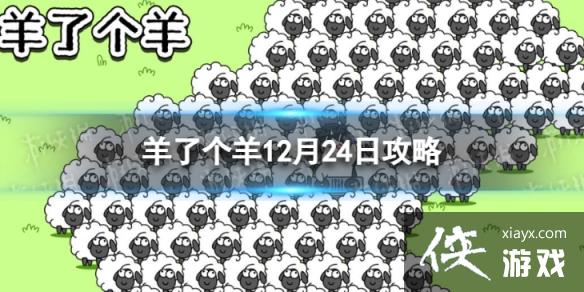 ���˸���12��24�չ���