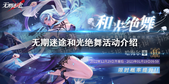 ������;�͹��������