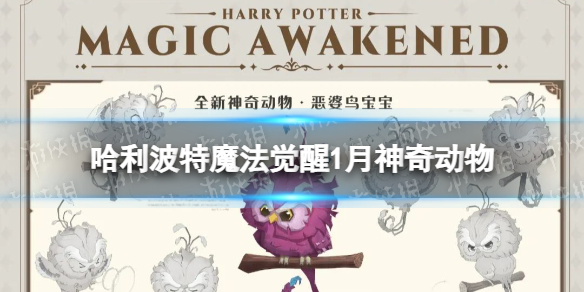 ��������ħ������1�����涯��