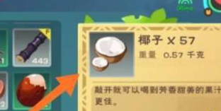 ������ħ��Ҭ��֭��ô��