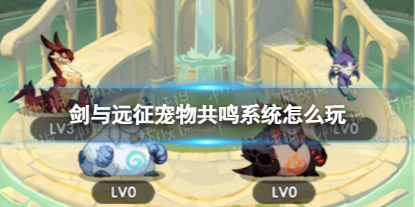 ����Զ�����ﹲ��ϵͳ��ô��