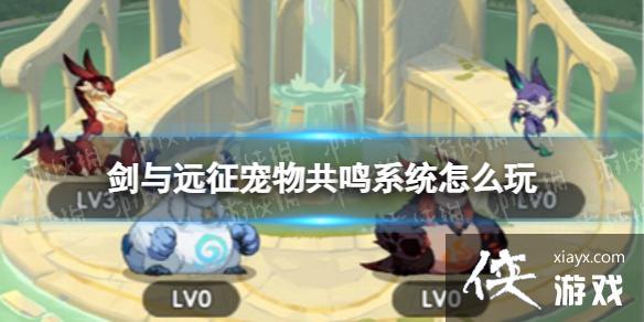 ����Զ�����ﹲ��ϵͳ��ô��