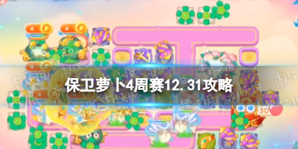 �����ܲ�4����12.31����