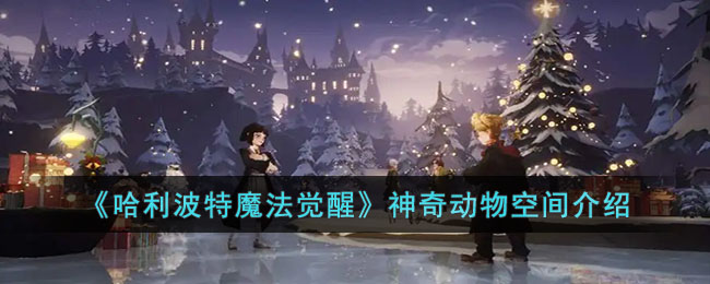 ����������ħ�����ѡ����涯��ռ����