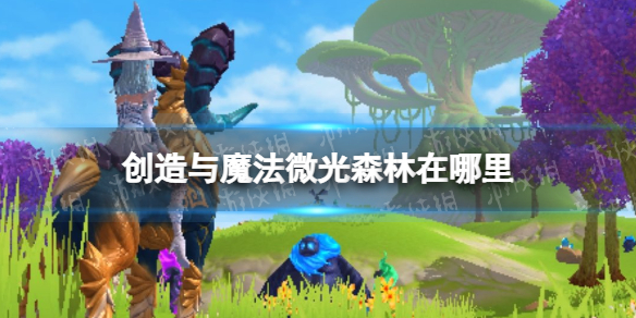 ������ħ��΢��ɭ��������