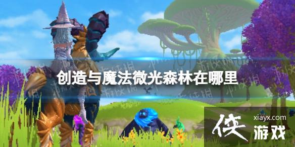 ������ħ��΢��ɭ��������