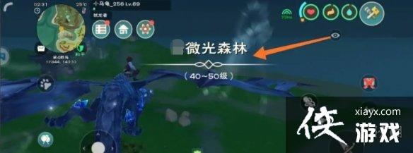 ������ħ��΢��ɭ��������