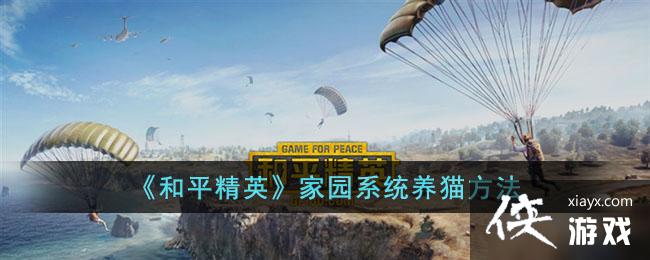 ����ƽ��Ӣ����԰ϵͳ��è����