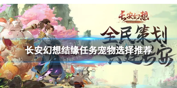 ���������Ե���������ôѡ