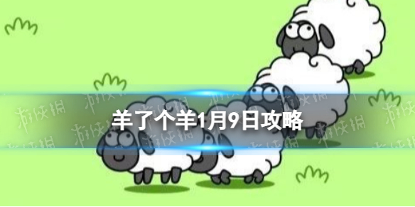 ���˸���1��9�չ���