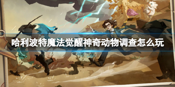 ��������ħ���������涯�������ô��