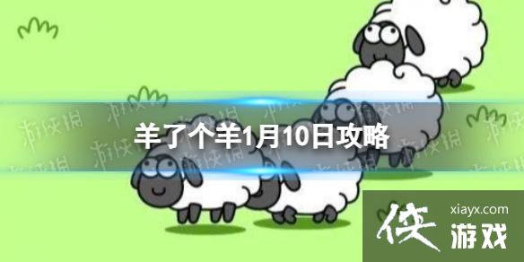 羊了个羊1月10日攻略 羊了个羊1月10日攻略