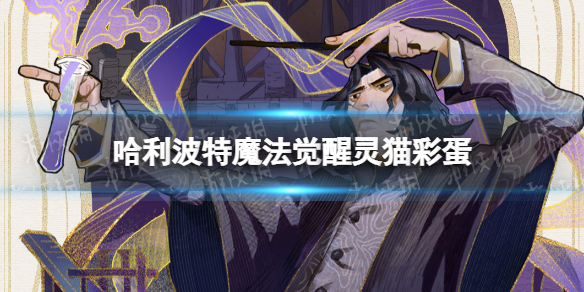 ��������ħ��������è�ʵ�