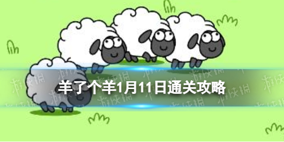 ���˸���1��11�չ���