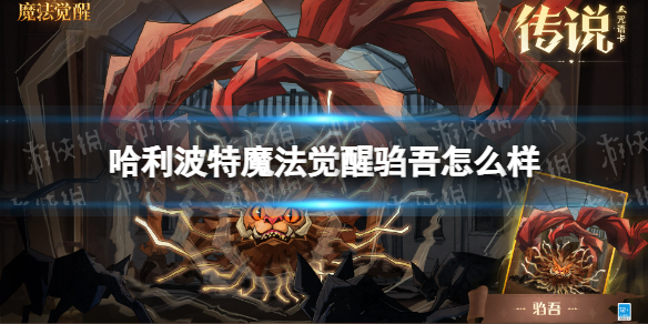 ��������ħ������������ô��