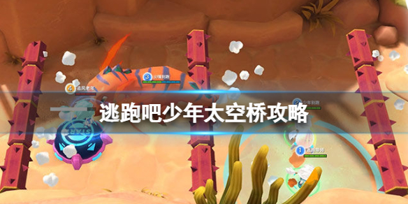 ���ܰ�����̫���Ź���